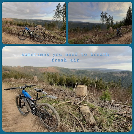 Entspannung und Spaß mit dem eMTB durch den Wald