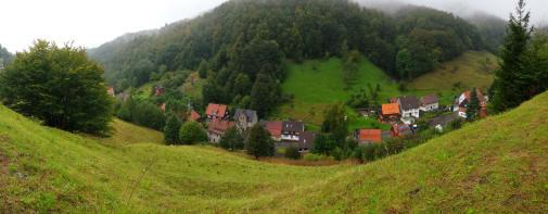 Weitwinkelblick vom Harzer-Hexenstieg auf das Ferienhaus Buecher