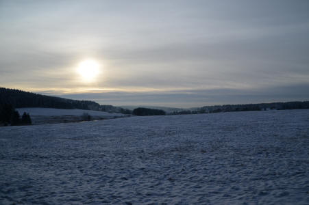 Winterwiese bei Buntenbock im Harz